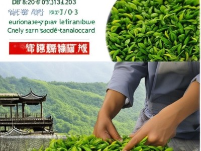 融合传统与现代科技，DB5206/T 163-2023 梵净山卷曲形绿茶加工技术规程