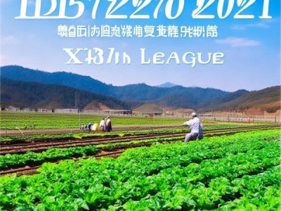 DB15/T 2270-2021标准引领下，兴安盟卜留克冷凉蔬菜产业迈向新高峰