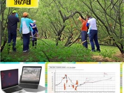 甜柿低产林提质增效技术规程DB42/T 1856-2022深度解析及实战应用