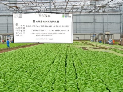 富硒银耳标准化生产,DB43/T 1114-2015规程助力品质提升与农业绿色发展