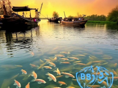 辽中鲫鱼,DB2101/T 0085-2023 地理标志产品,水产文化瑰宝传承之旅