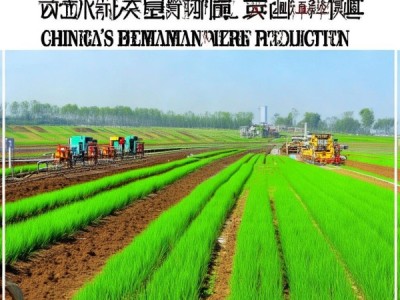DB64/T 910.2-2013标准视角下我国水稻机械化生产示范园区建设规范研究