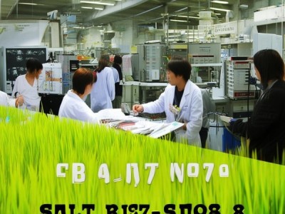 盐稻8号原种生产技术规程解析及在DB32/T 1474-2009中的应用研究