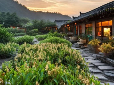 禹白芷，地理标志产品标准下的地域瑰宝传承与创新