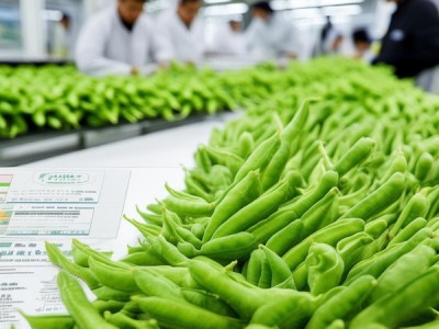鲜食豌豆苏豌1号原种生产技术规程深度解析与应用