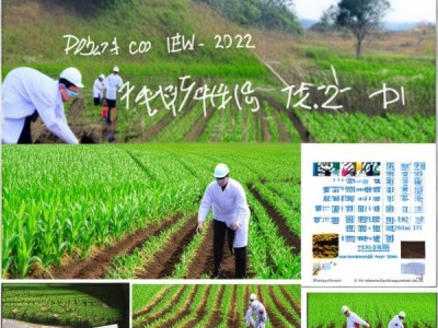 夏播玉米栽培关键技术解析，DB42/T 1814-2022规程解读