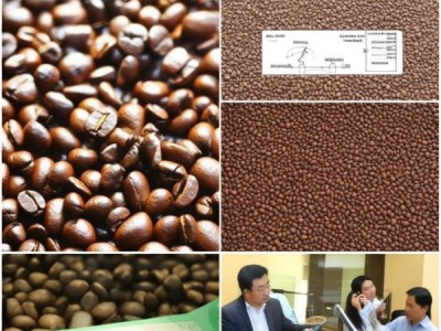 德宏小粒种咖啡生豆新标准DB5331/T 47.11-2023深度解读