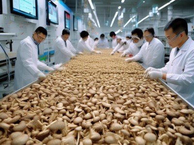 GB 8859-1988标准指导下的脱水蘑菇生产与质量控制研究