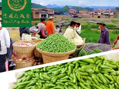 白城绿豆，地理标志产品标准解读与产业升级之旅