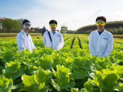 DB14/T 1668-2024 薏苡栽培技术规程，科学种植引领薏苡产业迈向高质量发展