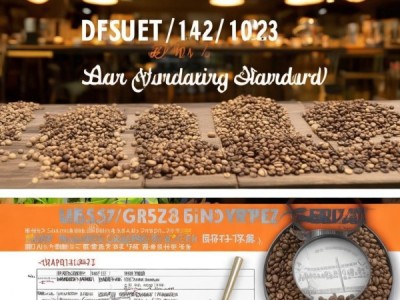DB53/T 149.7-2023 小粒种咖啡生豆分级标准解析与应用