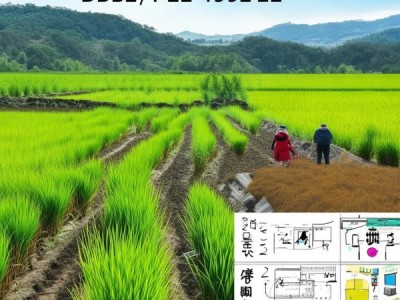 DB45/T 2489-2022标准下水稻与黑木耳轮作栽培技术创新与实践解析