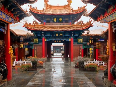 冠县灵芝荣获地理标志产品称号，弘扬药食同源文化