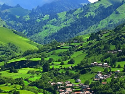 丘陵山区缓坡旱地宜机化改造技术规范解读与应用指南