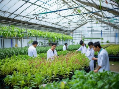 湖北药用石斛生态栽培技术规程DB42/T 1913-2022深度解读与应用