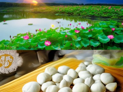 洪湖莲子荣获地理标志产品认证，DB42/T 2059-2023标准推动品牌升级之路
