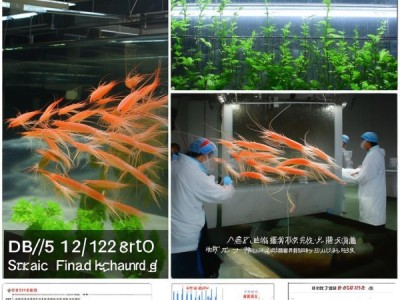 DB45/T 1224-2015标准指导下桂海1号凡纳滨对虾亲虾养殖技术分析