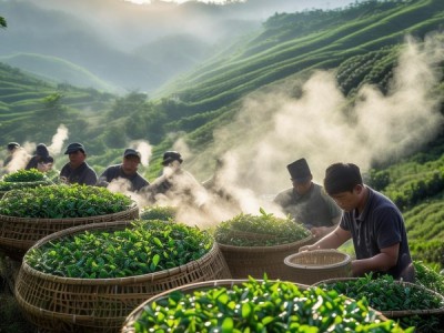 石阡苔茶地理标志产品加工技术规程解读与应用