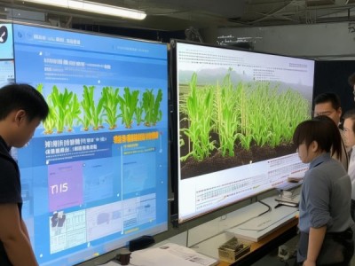 2023版DB14/T 1121-2023复播食用葵栽培技术规程深度解析与应用指导