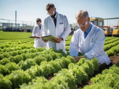 店埠胡萝卜种植技术规程深度解读与实践应用分析