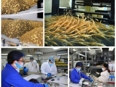 DB32/T 1273-2008标准指导下的克氏螯虾饲料研发与应用探讨