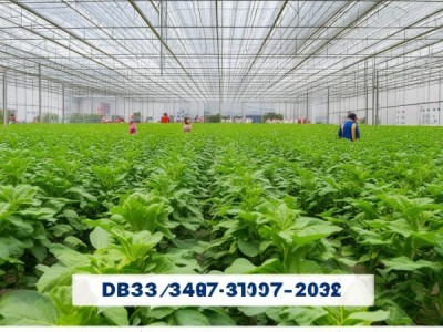 DB23/T 3475-2023 大瘤华南型大棚栽培技术规程深度解析与应用指导