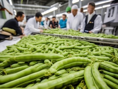 白银市四季豆绿色食品生产技术规程解读与应用指南