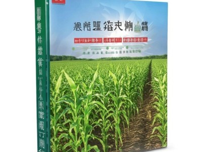 DB23/T 3774-2024 青贮玉米与田菁栽培技术规程深度解析与应用手册