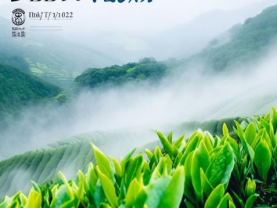 英山云雾茶荣获地理标志产品认证，DB42/T 210-2022标准助力茶产业升级