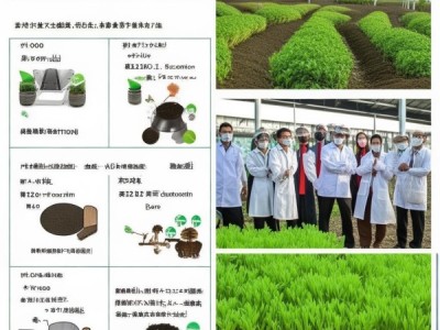 DB52/T 1732-2023 黑木耳地栽栽培技术规程深度解析与应用指导