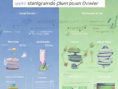 酸梅粉质量安全解读，地方标准与行业规范详解