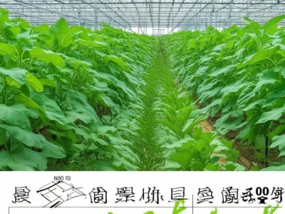 DB32/T 550-2009 苦瓜标准化种植技术规程，助力品质与产量提升