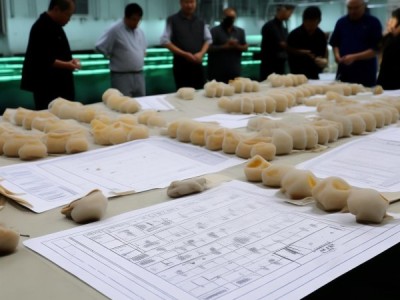 华鲮养殖技术规范与配合饲料应用，DB51/T 1127-2010标准深度解读