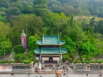 五原灯笼红香瓜，DB15/T 1679-2019标准下的种植特色解析