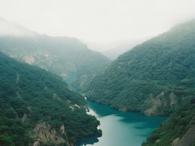 绿色引领，丘岗山地穇子栽培新标准助力产业升级