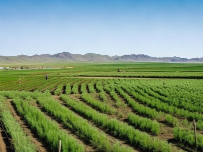 内蒙古中西部地区蒙药材产地环境标准DB15/T 2217-2022深度解读