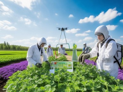 紫花苜蓿害虫绿色防控技术规程DB13/T 6009-2024解析与应用