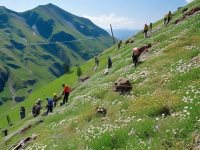 退化亚高山草甸坡地植被恢复技术规程，DB51/T 1972-2015 实践与理论创新
