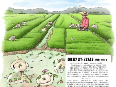 解读DB43/T 2713-2023，藠头与水稻水旱轮作栽培技术规程