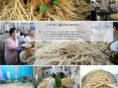 白芍采收与加工技术规程深度解读，DB14/T 3139-2024