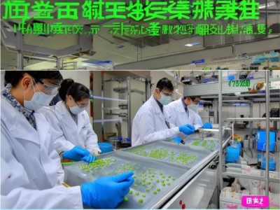 DB32/T 4589-2023蔬菜小粒丸粒化包衣技术规程，创新突破与实施路径