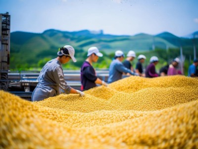 燕麦青干草加工标准化规程发布，推动燕麦产业绿色发展
