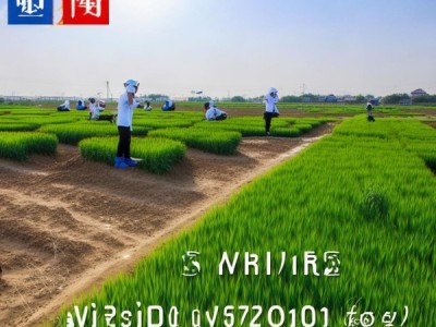 冀西北寒旱区燕麦栽培技术规程DB13/T 5637-2022 解读与应用指南