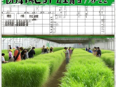 DB4452/T 9-2022，竹笋栽培技术规程，助力科学种植，提升品质与产量