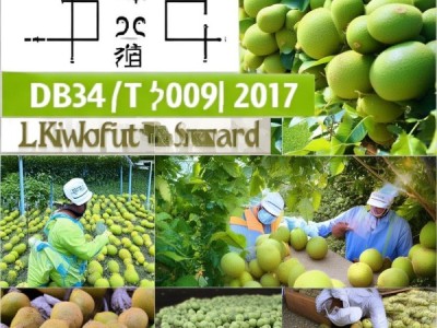DB34/T 3009-2017标准深度解读，猕猴桃采收与商品化处理技术规程