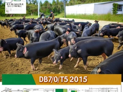 里岔黑猪养殖标准解析，DB37/T 075-2015下的发展路径