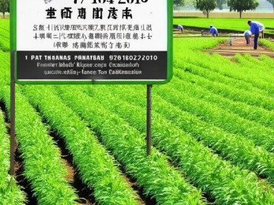 DB64/T 1104-2015 苋菜标准化种植规程，提高苋菜品质与产量