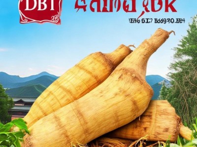 固黄芪凭借DB15/T 3664-2024认证，迈向地理标志产品新舞台
