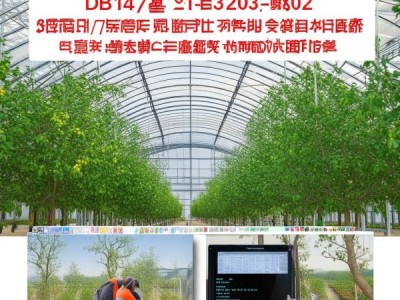鲜枣冷棚栽培技术规程DB14/T 1583-2024深度解读及实践应用