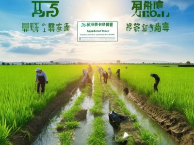 稻虾种养面源污染防控新规范发布,DB43/T 2983-2024,绿色农业发展新里程碑